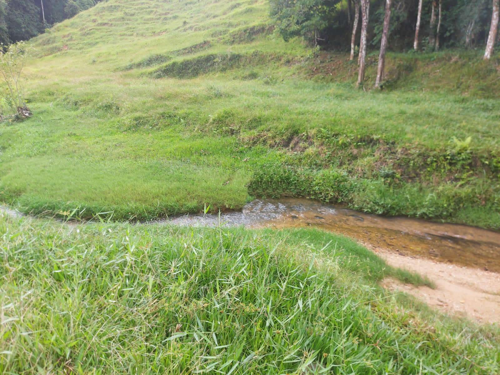 Terreno, 14 hectares - Foto 14