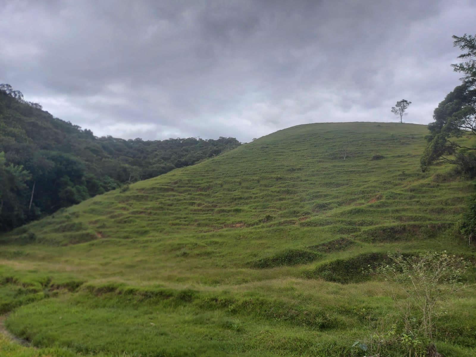 Terreno, 14 hectares - Foto 15