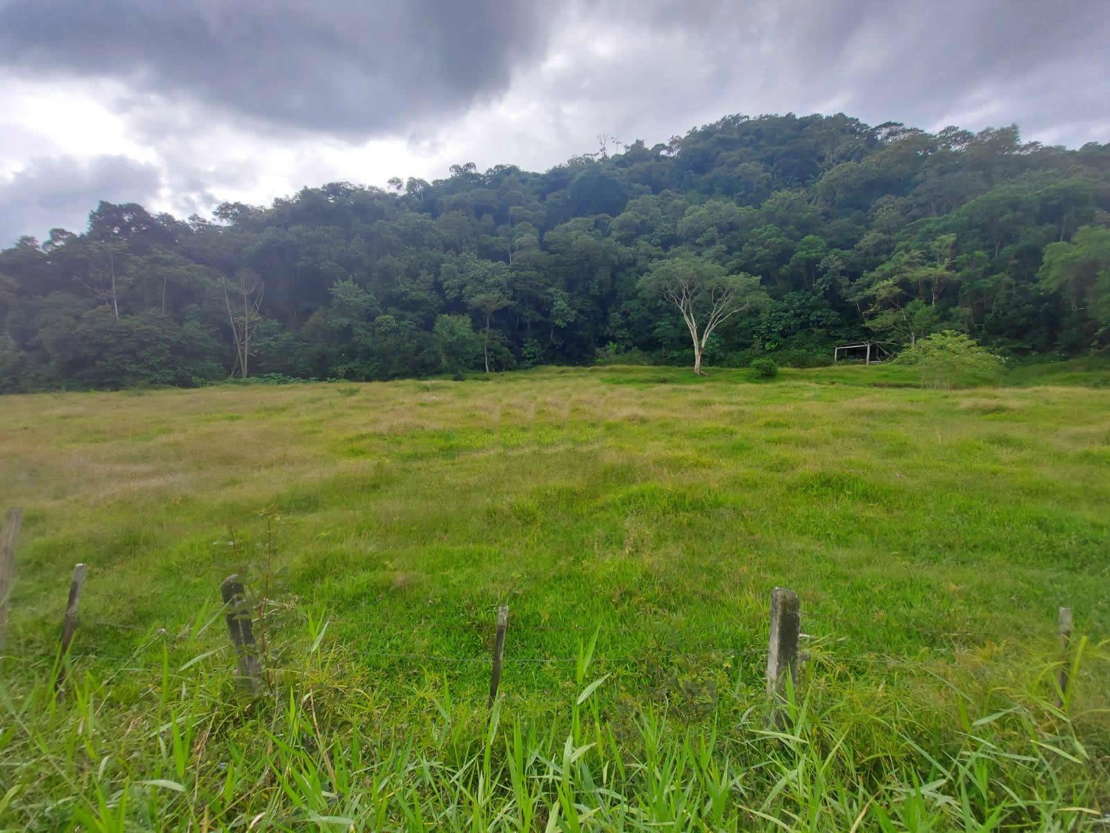 Terreno, 14 hectares - Foto 16
