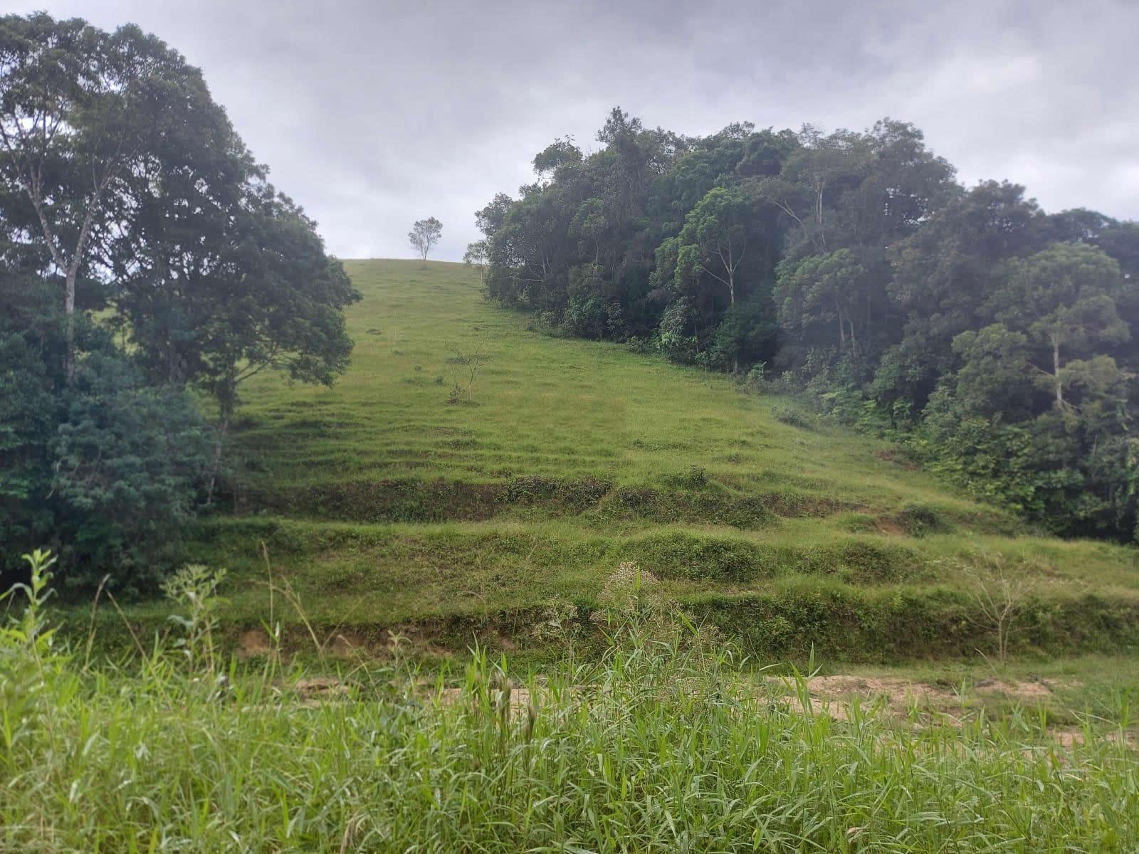Terreno, 14 hectares - Foto 17
