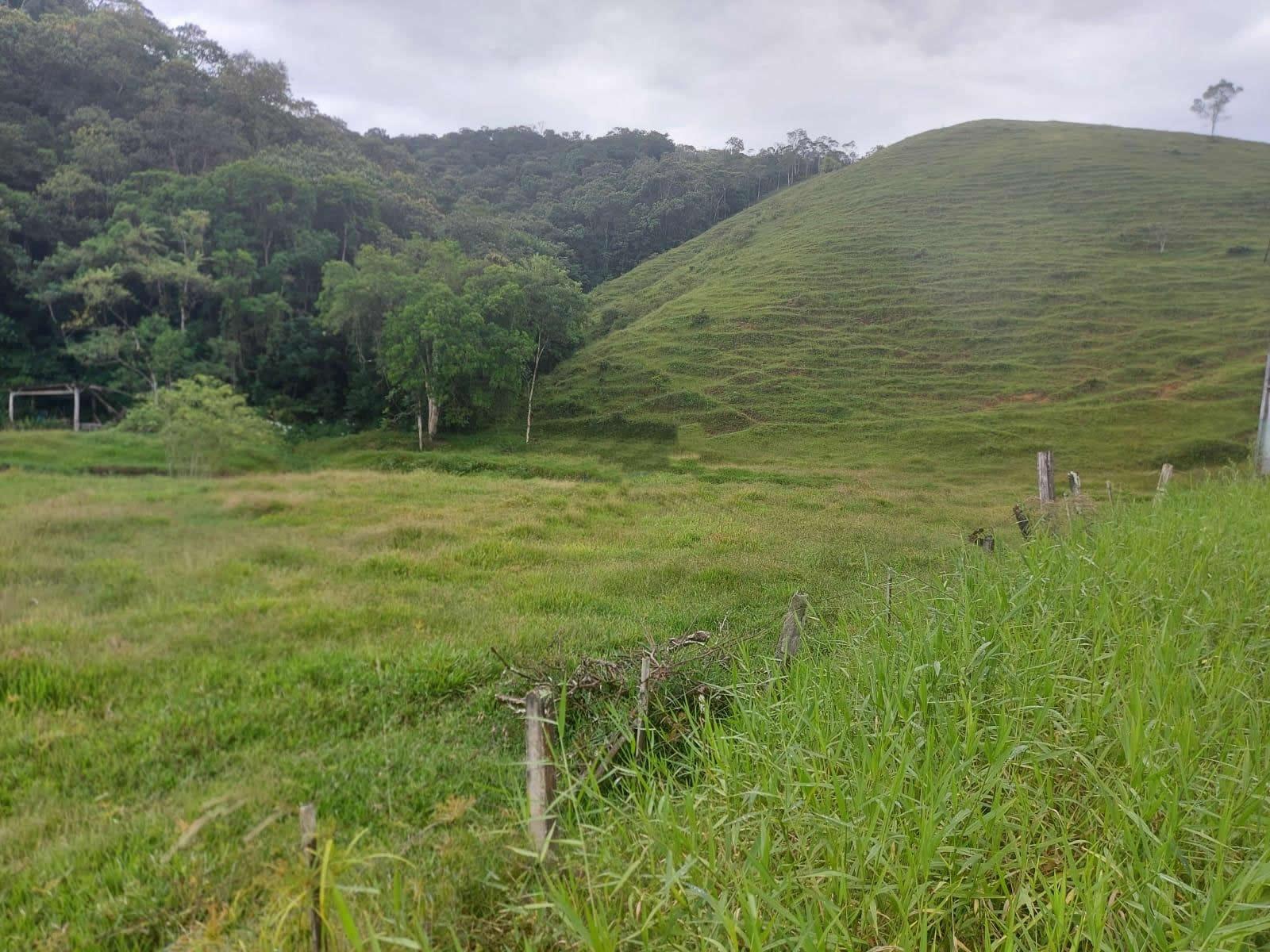 Terreno, 14 hectares - Foto 18