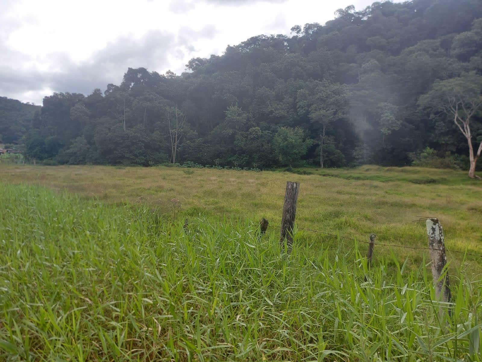 Terreno, 14 hectares - Foto 22