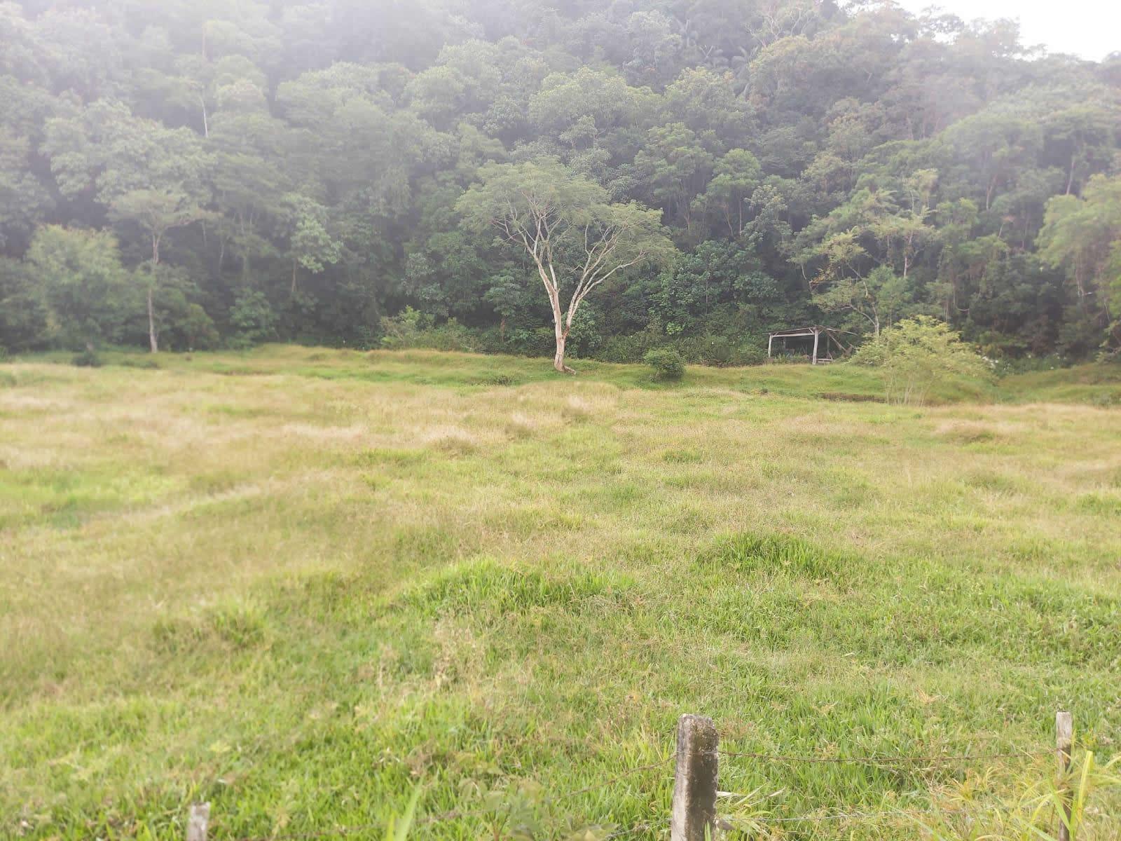 Terreno, 14 hectares - Foto 23
