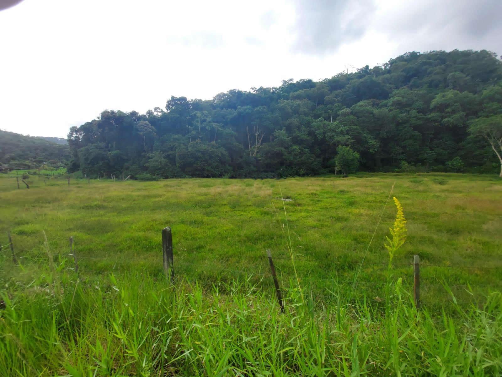 Terreno, 14 hectares - Foto 25