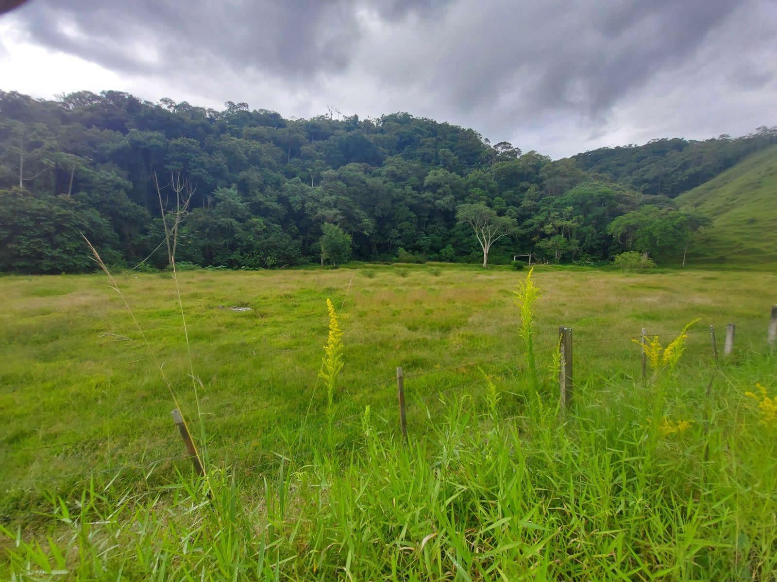Terreno, 14 hectares - Foto 26