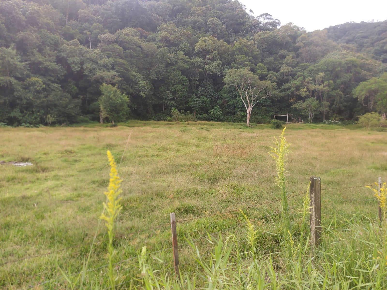 Terreno, 14 hectares - Foto 27