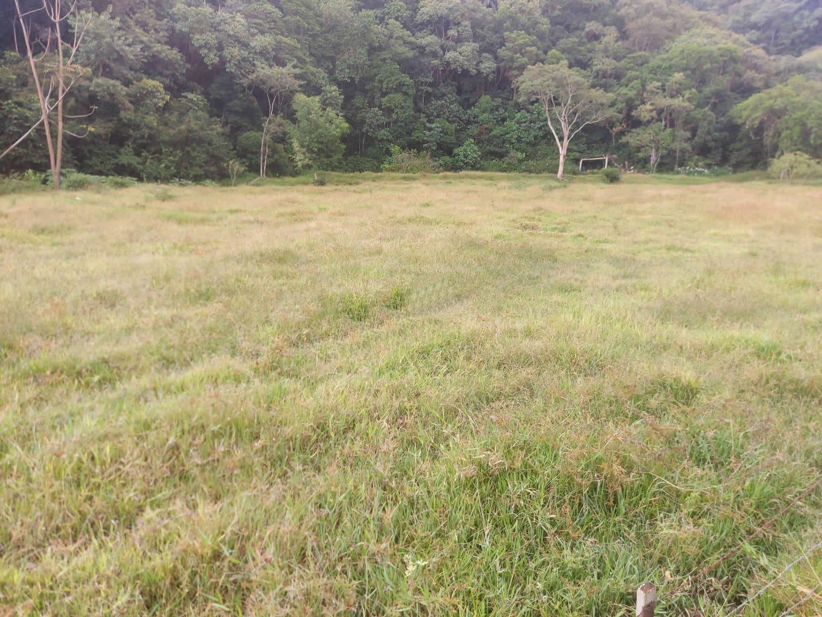 Terreno, 14 hectares - Foto 29