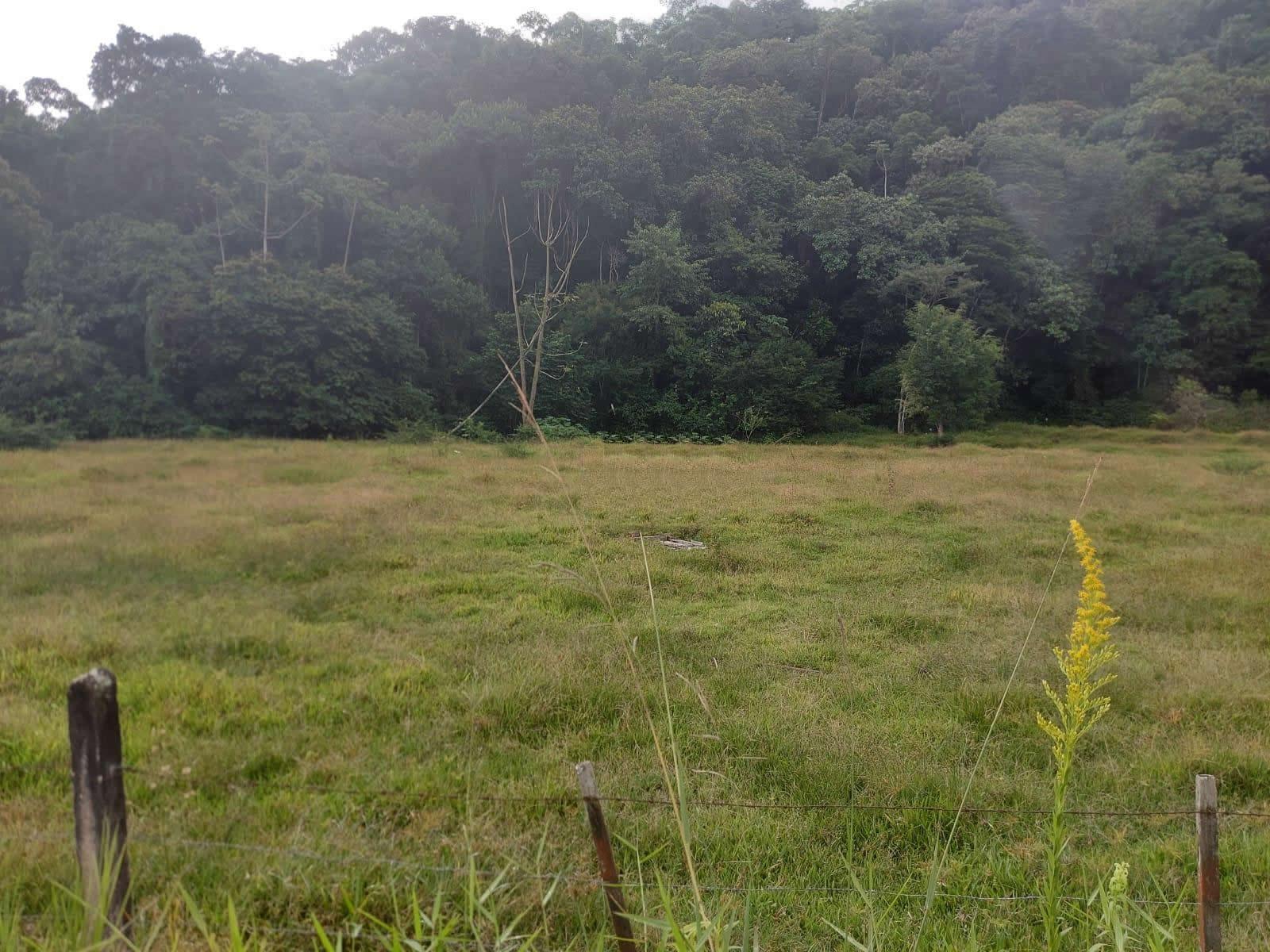 Terreno, 14 hectares - Foto 30