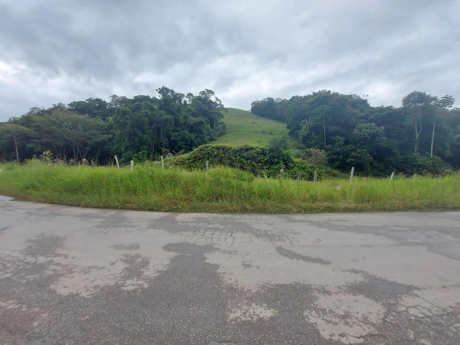 Terreno, 14 hectares - Foto 4