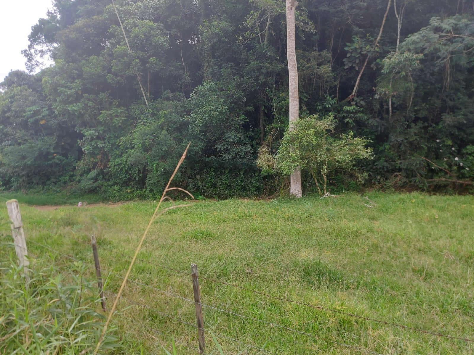 Terreno, 14 hectares - Foto 6