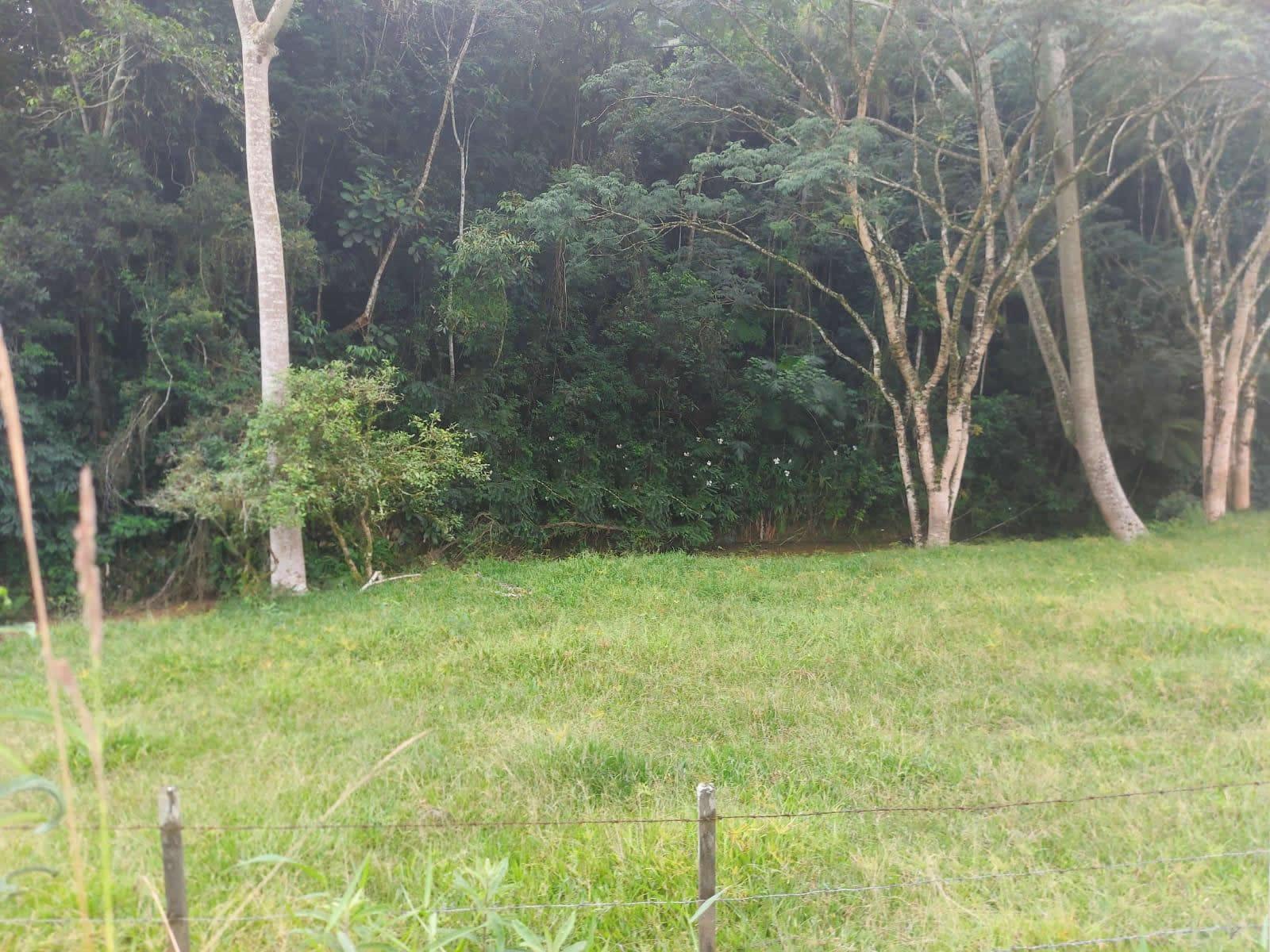 Terreno, 14 hectares - Foto 7