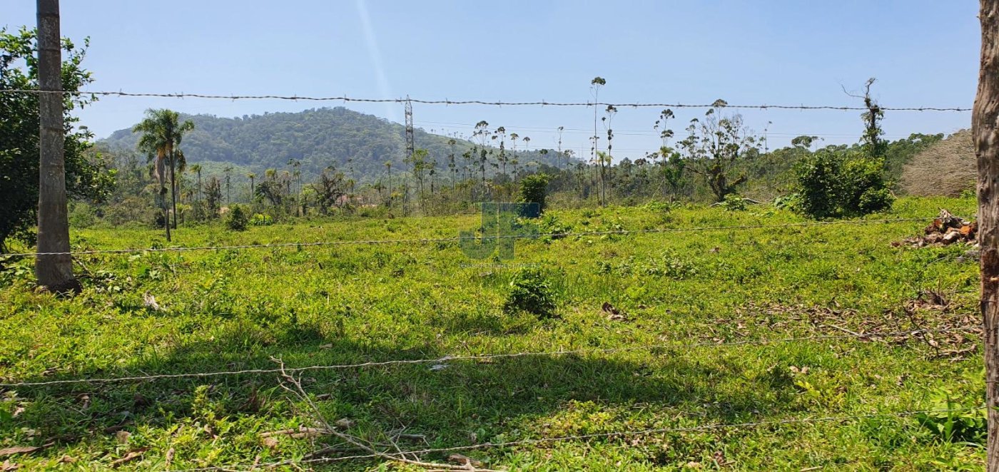 Terreno, 19 hectares - Foto 3
