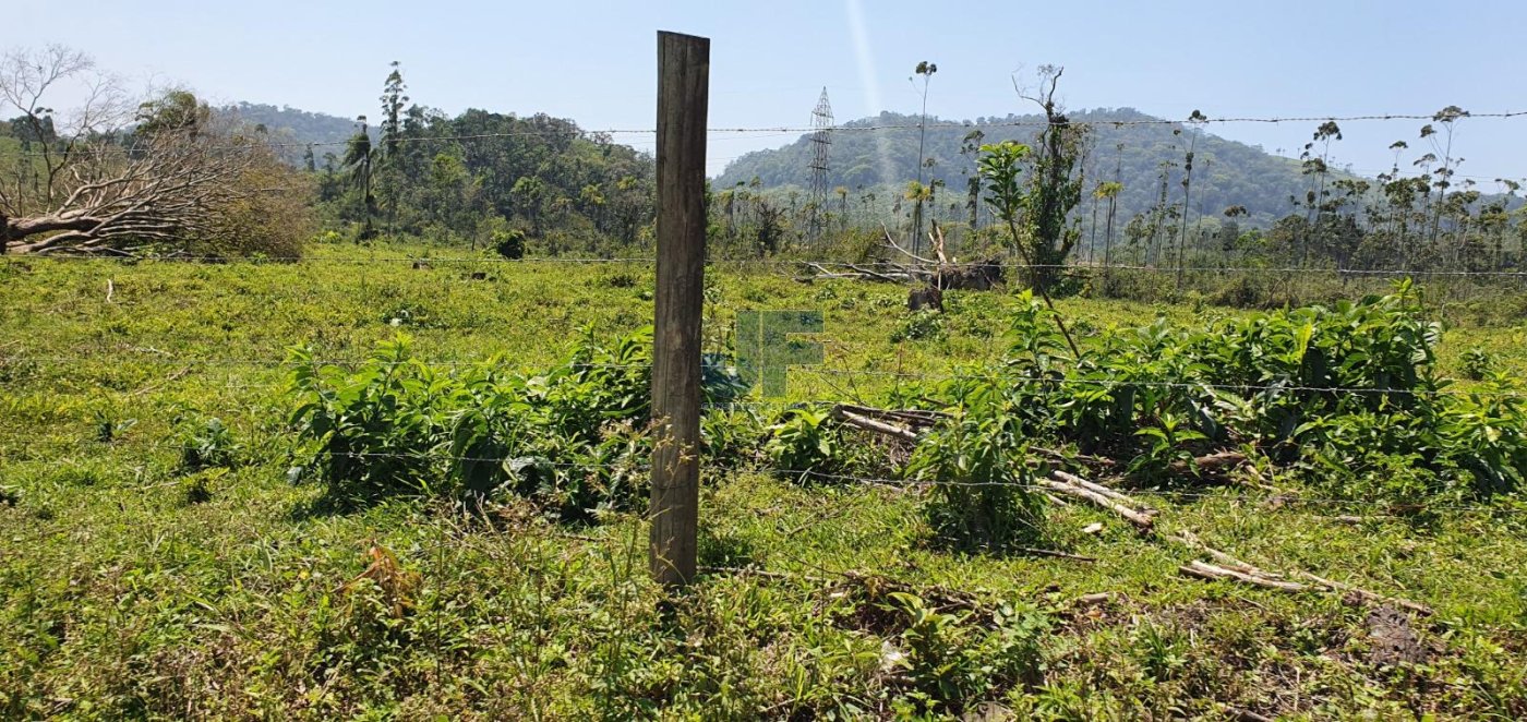 Terreno, 19 hectares - Foto 4