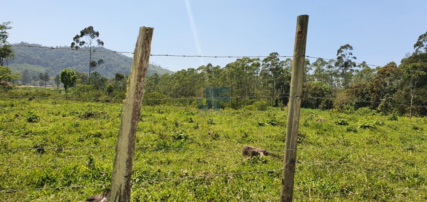 Terreno, 19 hectares - Foto 6