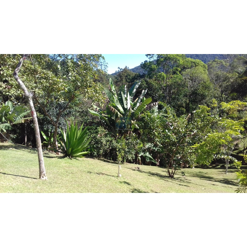 Sítio, 4 quartos, 9 hectares - Foto 11