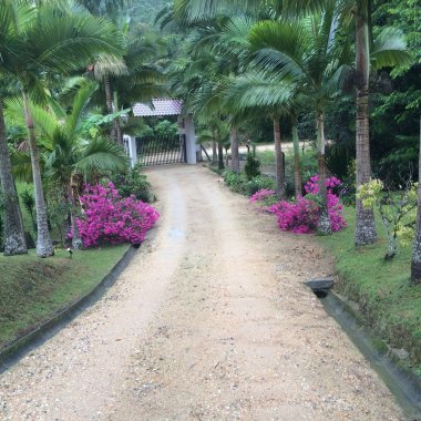 Sitio para Quem Tem Bom Gosto Encontra - Se A 24 Km De Balneário Camboriú    