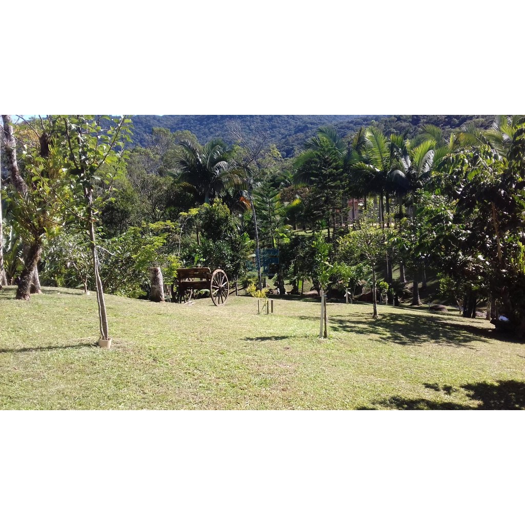 Sítio, 4 quartos, 9 hectares - Foto 8