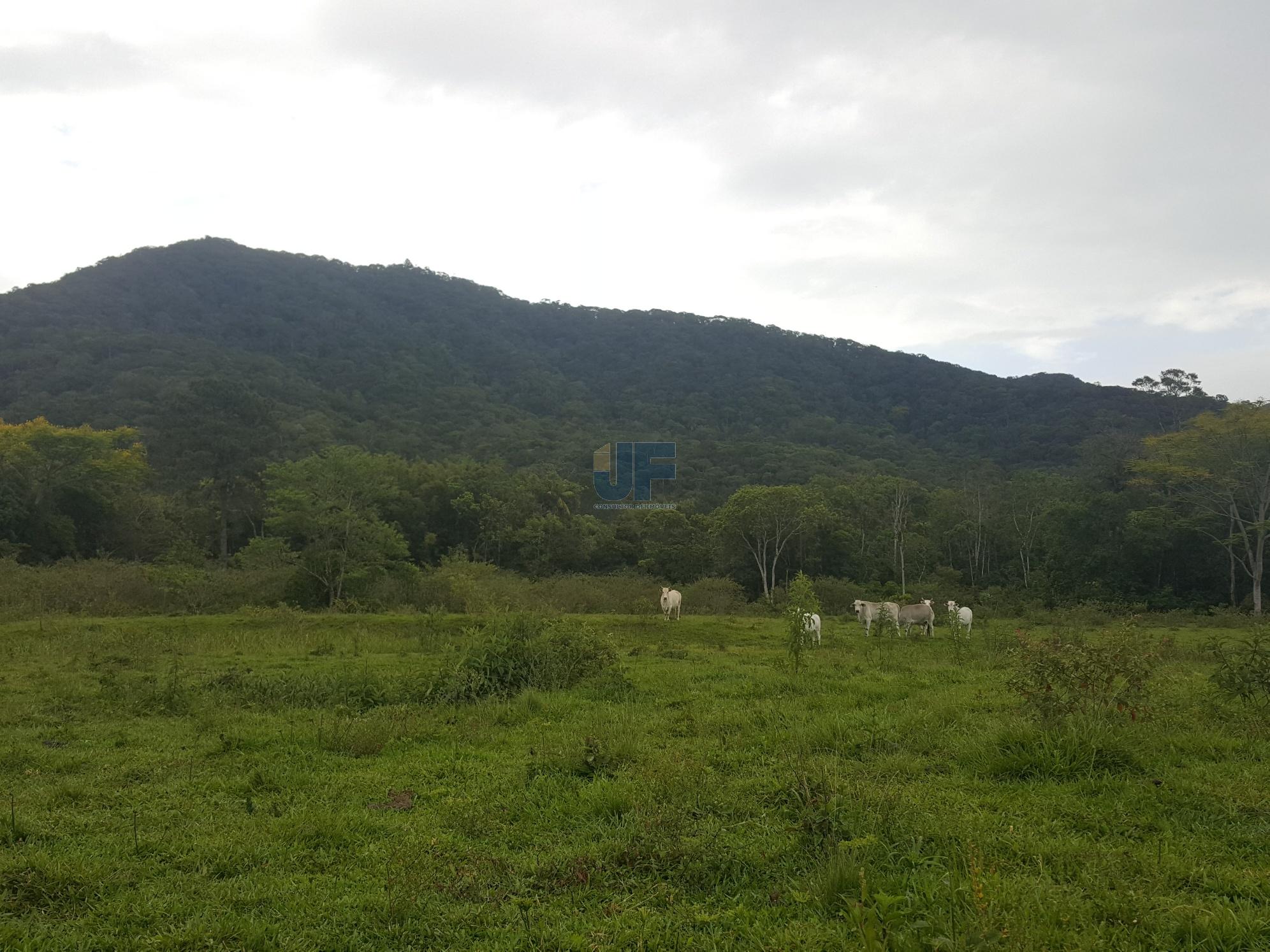 Fazenda à venda, 50000m² - Foto 12