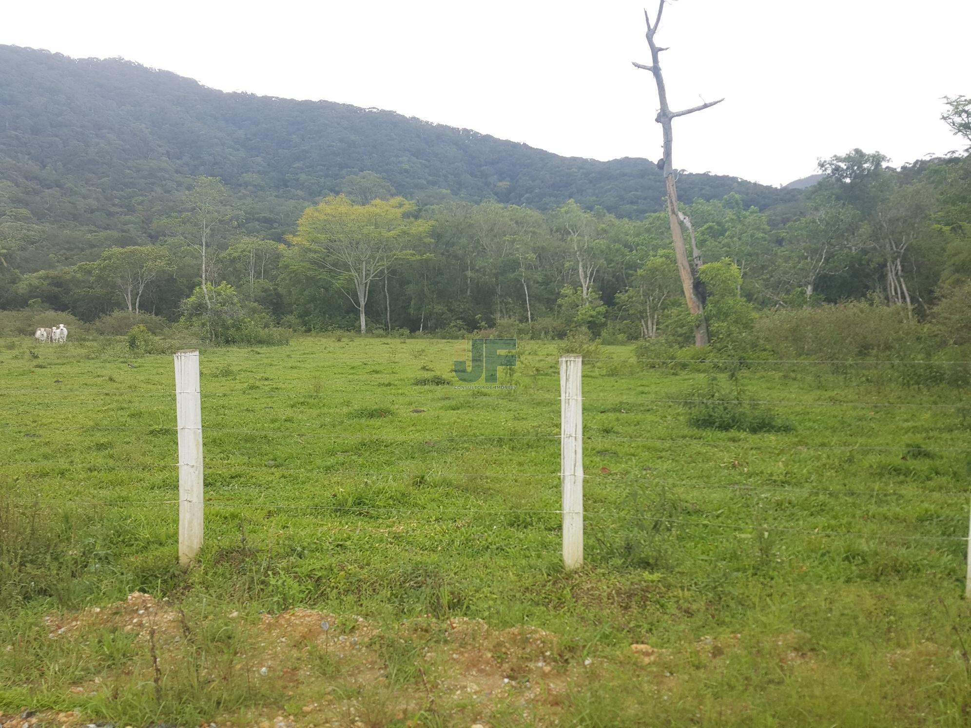 Fazenda à venda, 50000m² - Foto 4