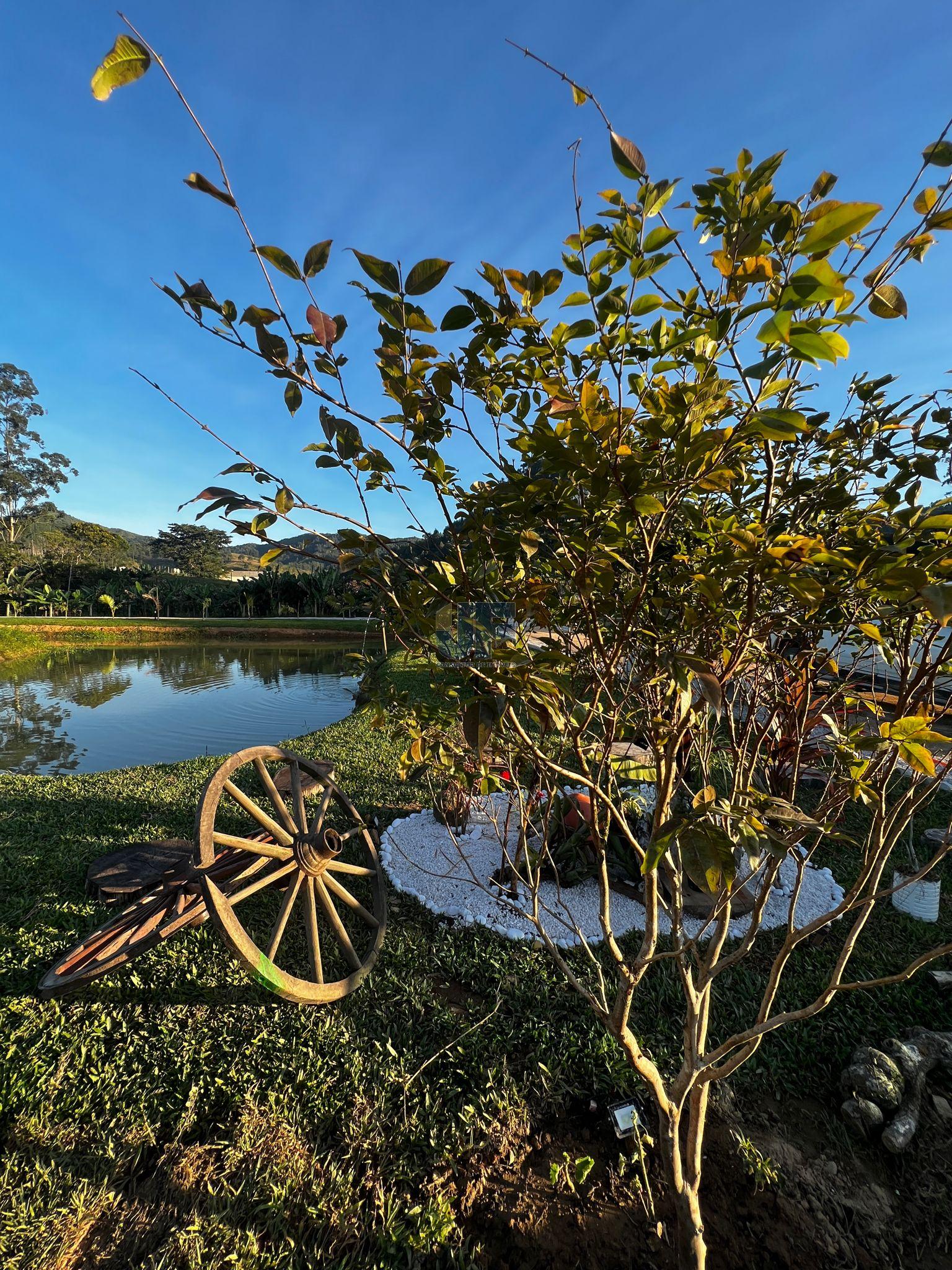 Fazenda à venda com 2 quartos, 4300m² - Foto 12