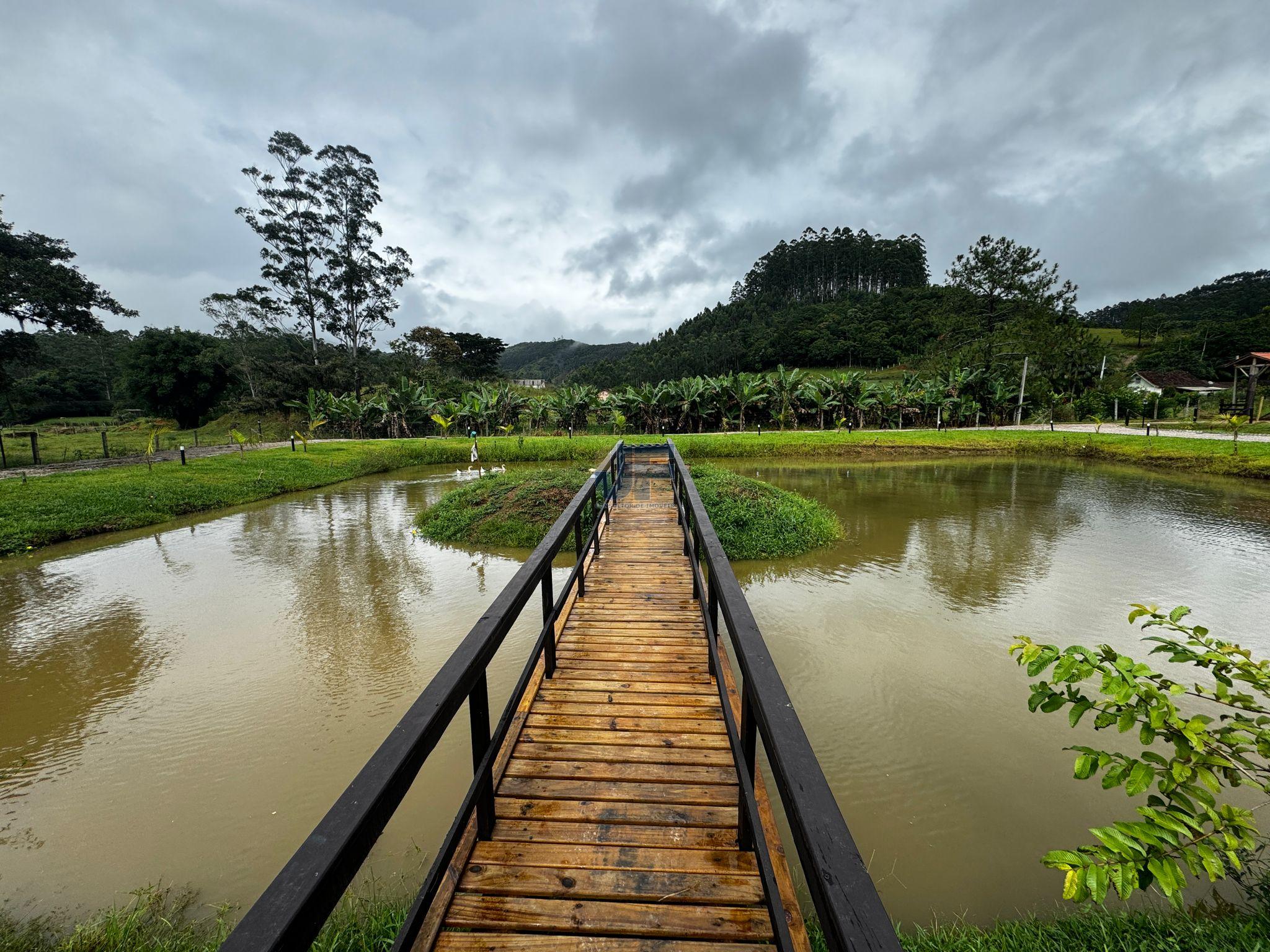 Fazenda à venda com 2 quartos, 4300m² - Foto 15