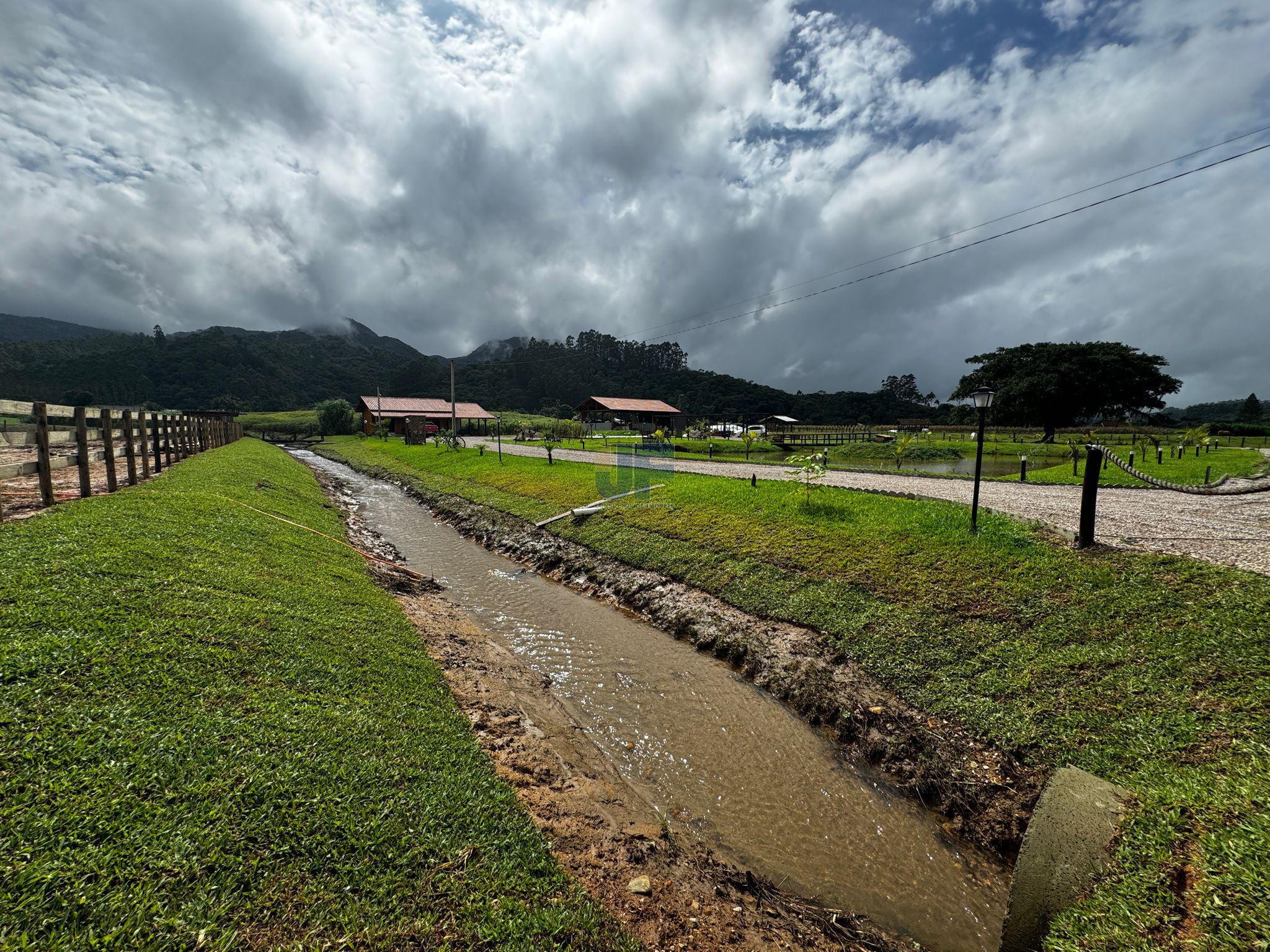 Fazenda à venda com 2 quartos, 4300m² - Foto 19