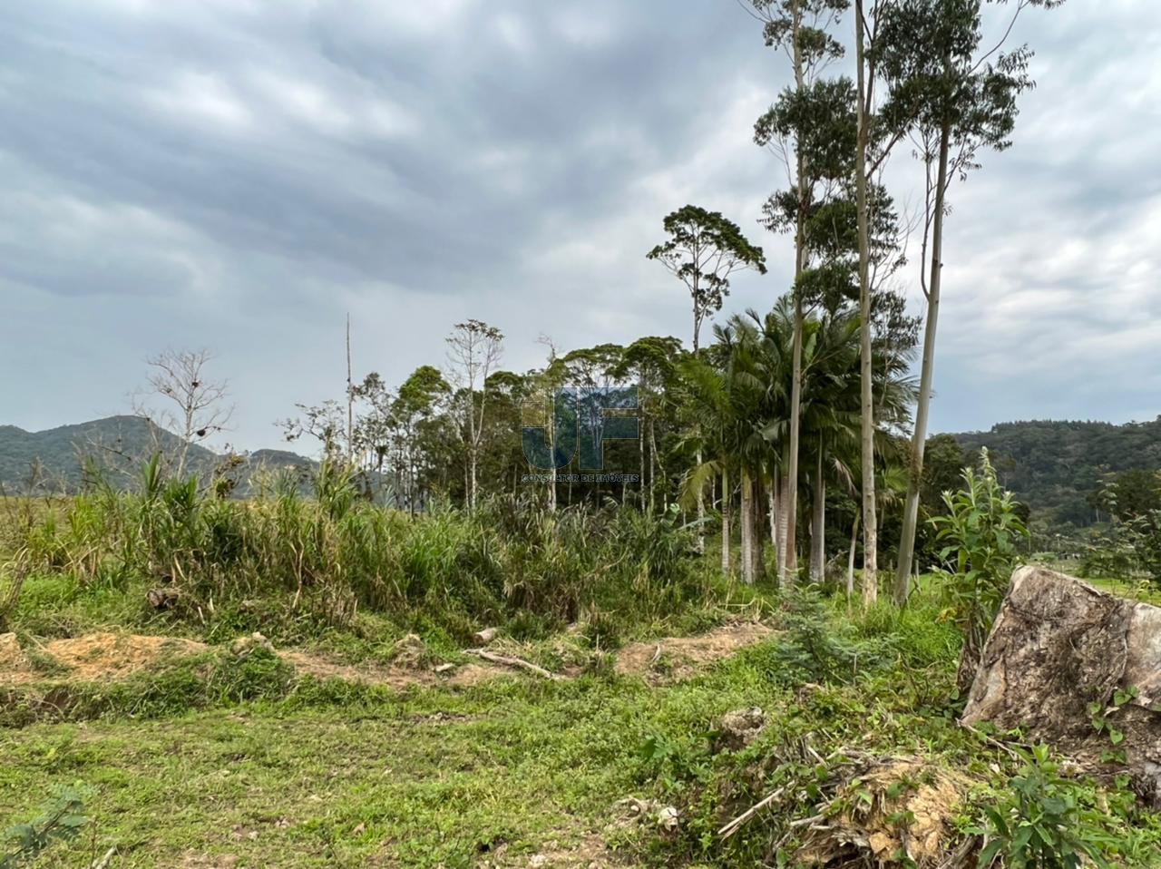 Fazenda à venda, 8515m² - Foto 9