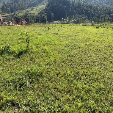 Terreno Rural em bairro Oliveira Tijucas