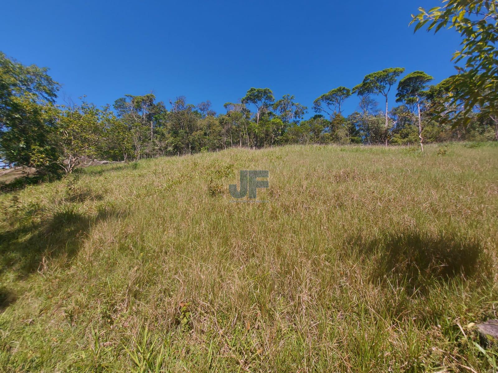 Fazenda à venda com 3 quartos, 24185m² - Foto 15