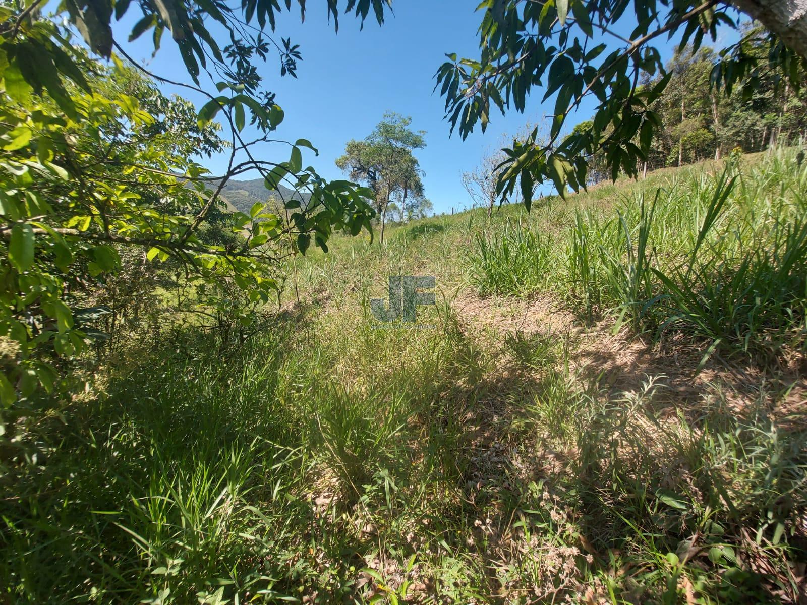 Fazenda à venda com 3 quartos, 24185m² - Foto 16