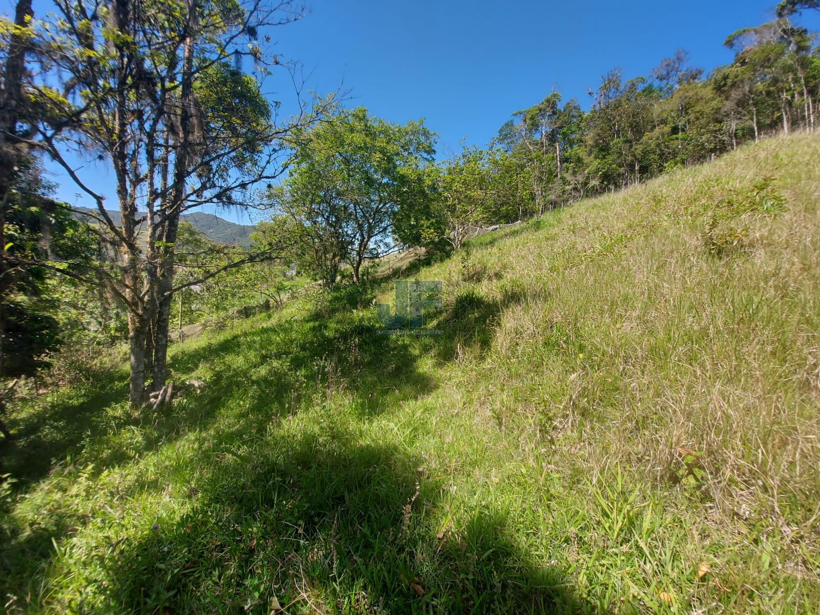 Fazenda à venda com 3 quartos, 24185m² - Foto 17