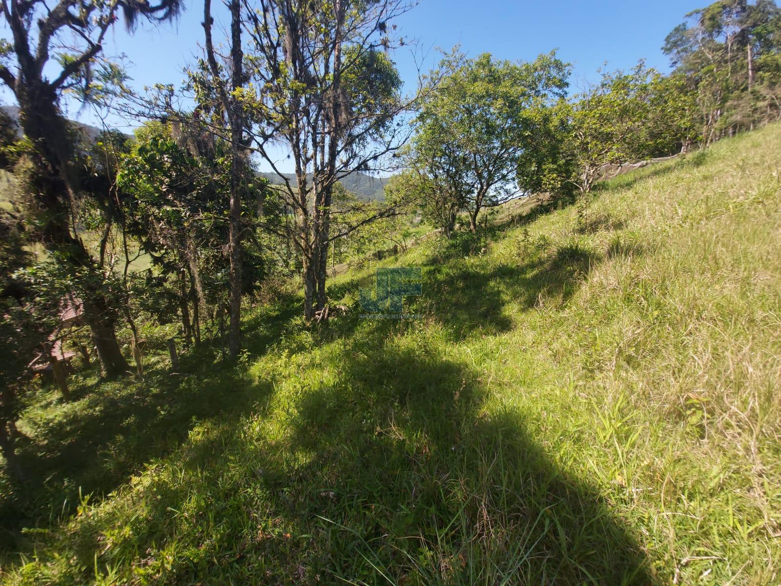 Fazenda à venda com 3 quartos, 24185m² - Foto 18