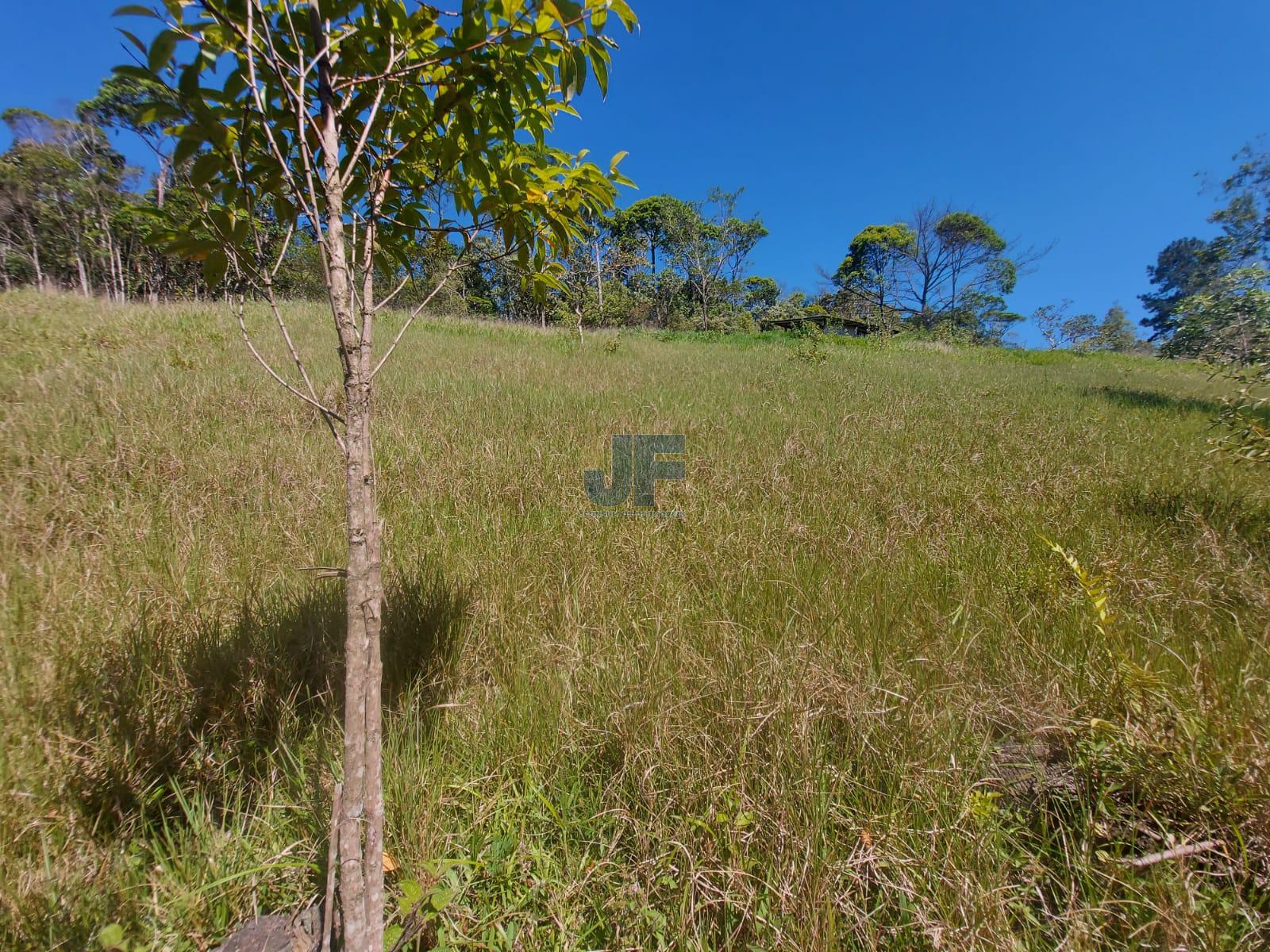 Fazenda à venda com 3 quartos, 24185m² - Foto 19