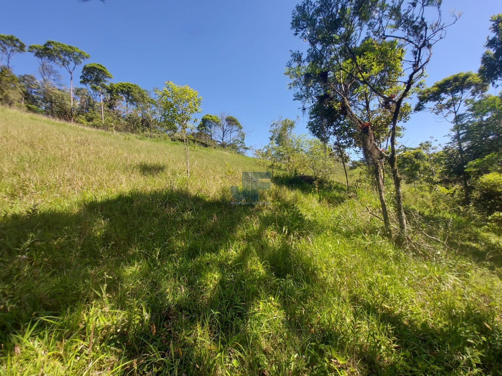 Fazenda à venda com 3 quartos, 24185m² - Foto 21