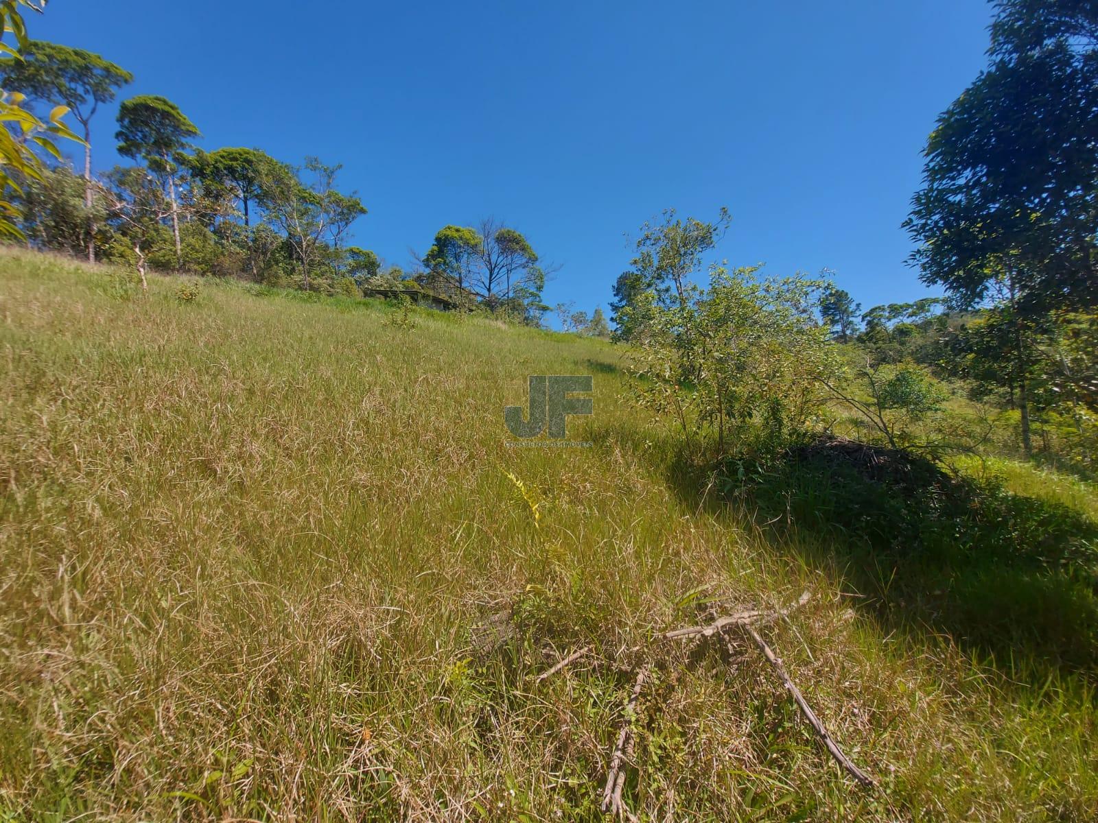 Fazenda à venda com 3 quartos, 24185m² - Foto 22