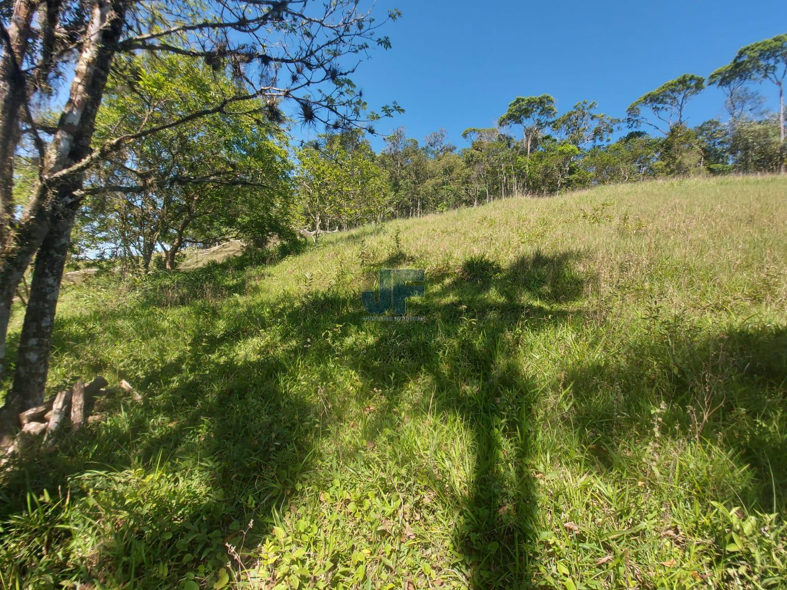 Fazenda à venda com 3 quartos, 24185m² - Foto 25