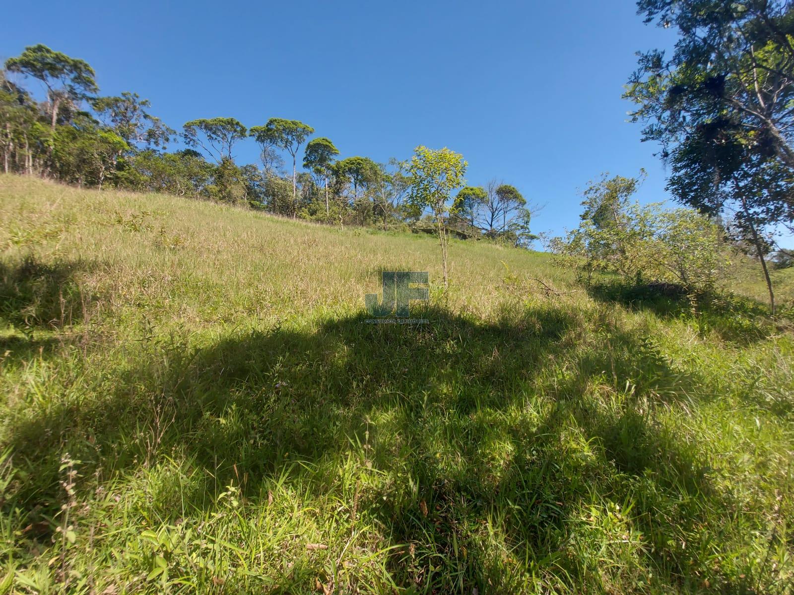 Fazenda à venda com 3 quartos, 24185m² - Foto 26