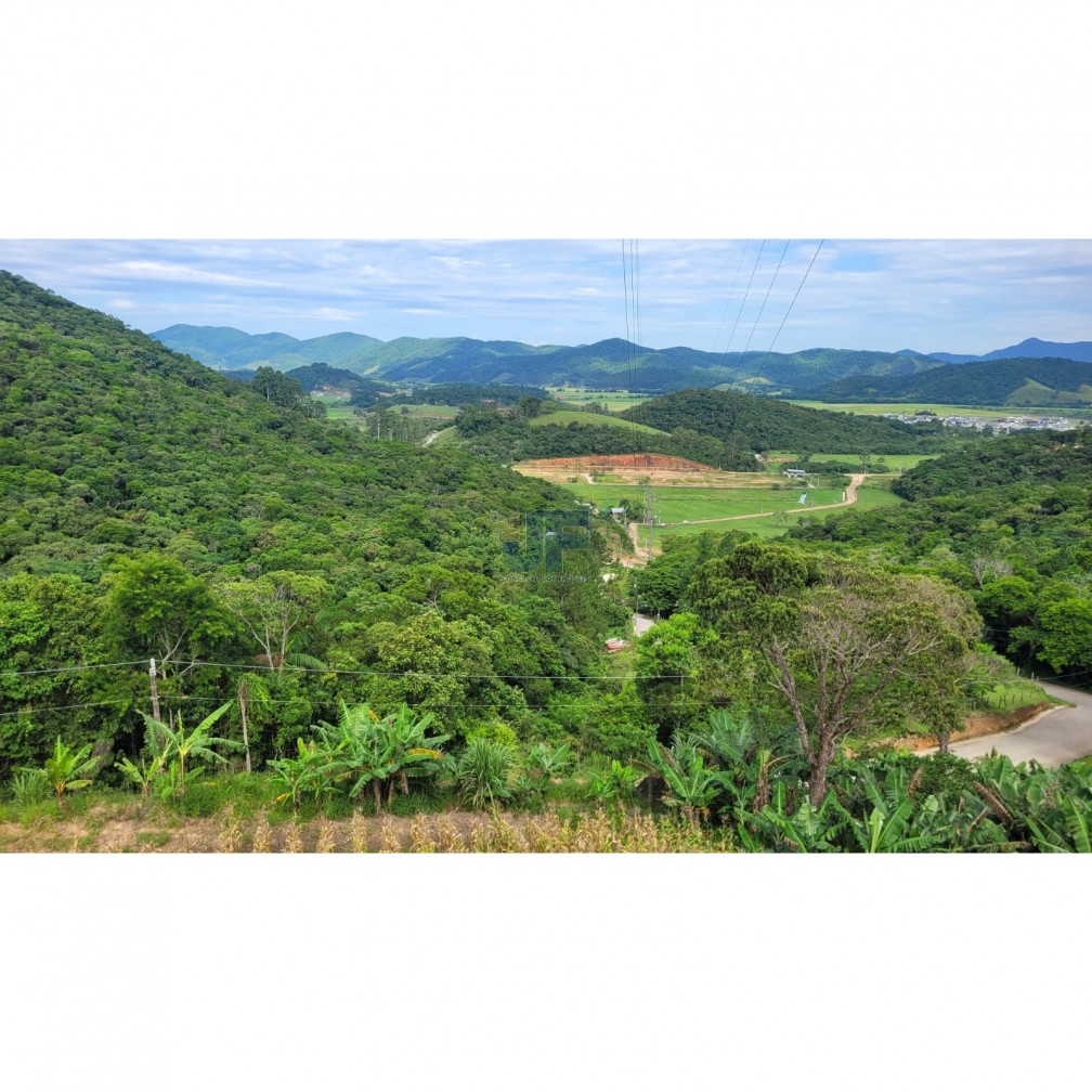 Fazenda à venda com 3 quartos, 7000m² - Foto 1