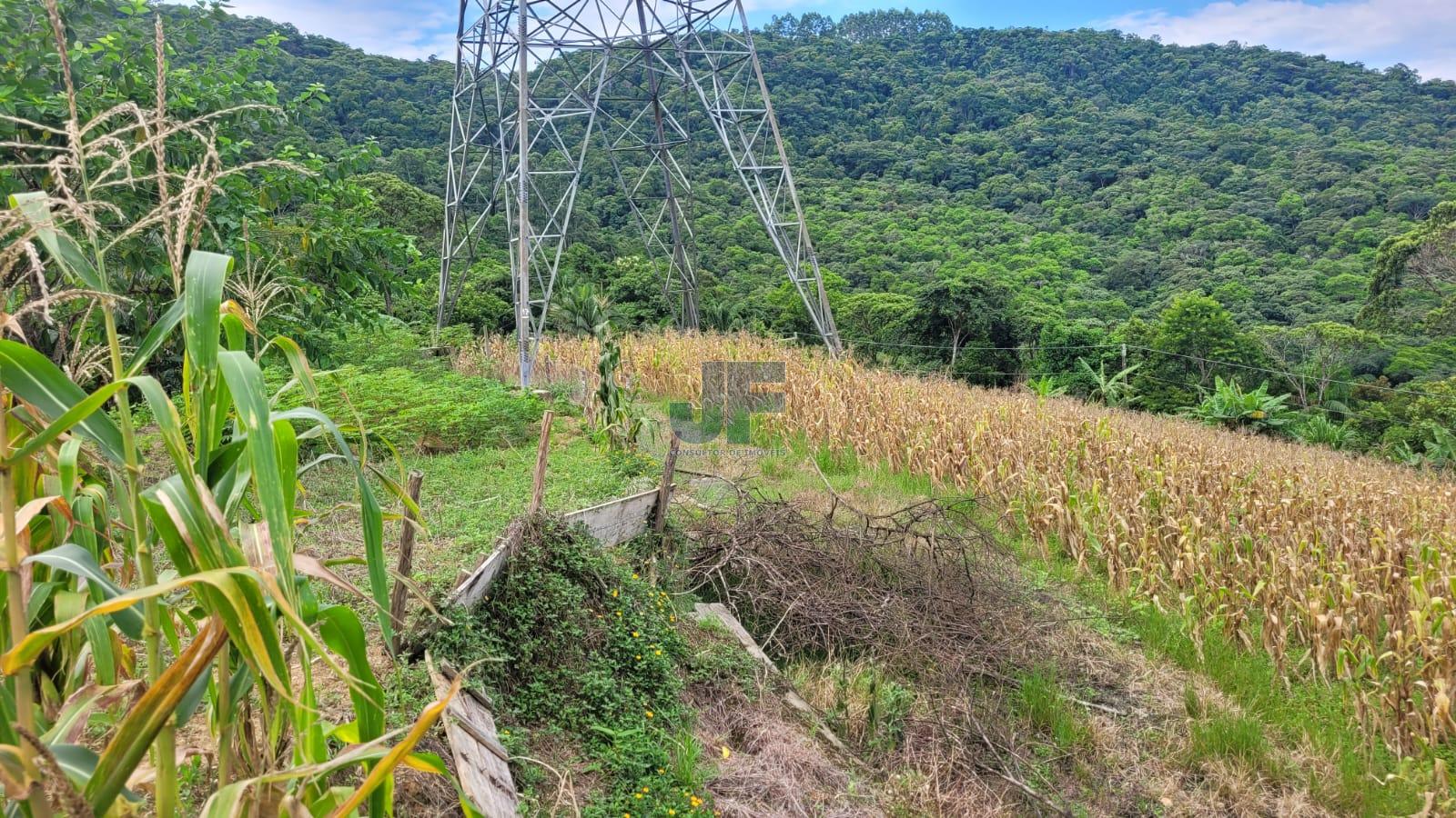 Fazenda à venda com 3 quartos, 7000m² - Foto 28