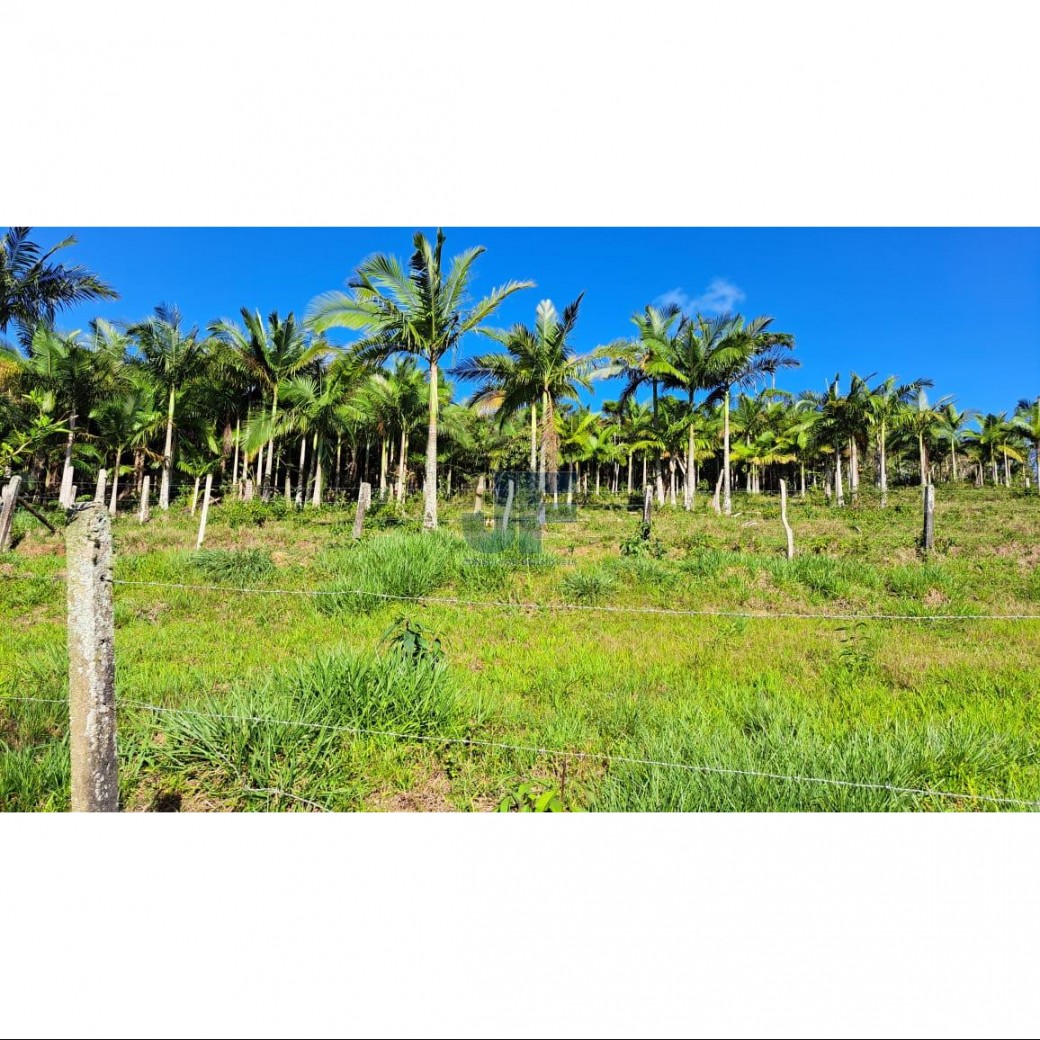 Fazenda à venda, 160000m² - Foto 6