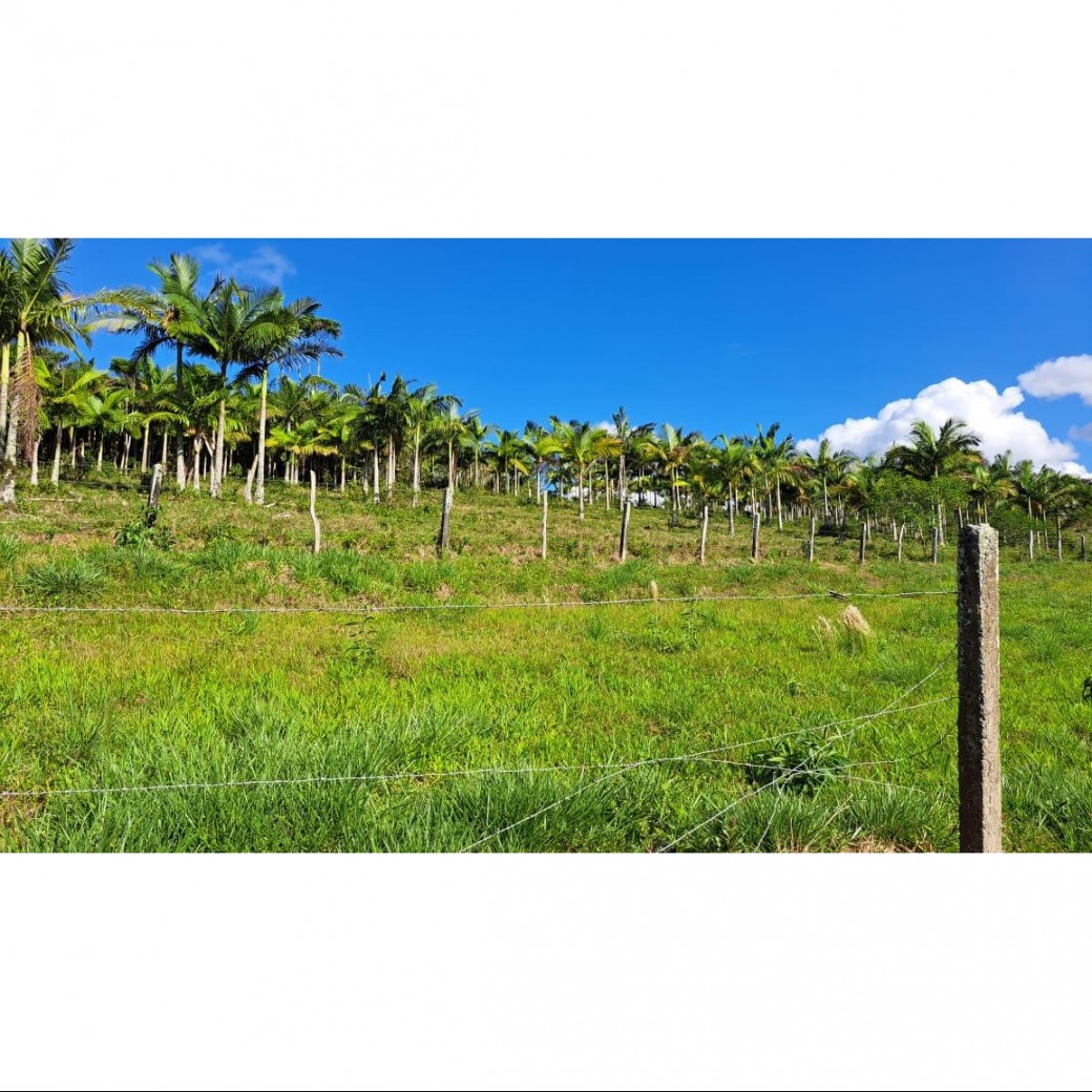 Fazenda à venda, 160000m² - Foto 10