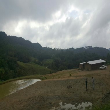 TERRENO COM PASTAGEM A VENDA EM NOVA TRENTO COM PASTO E CAHOEIRA