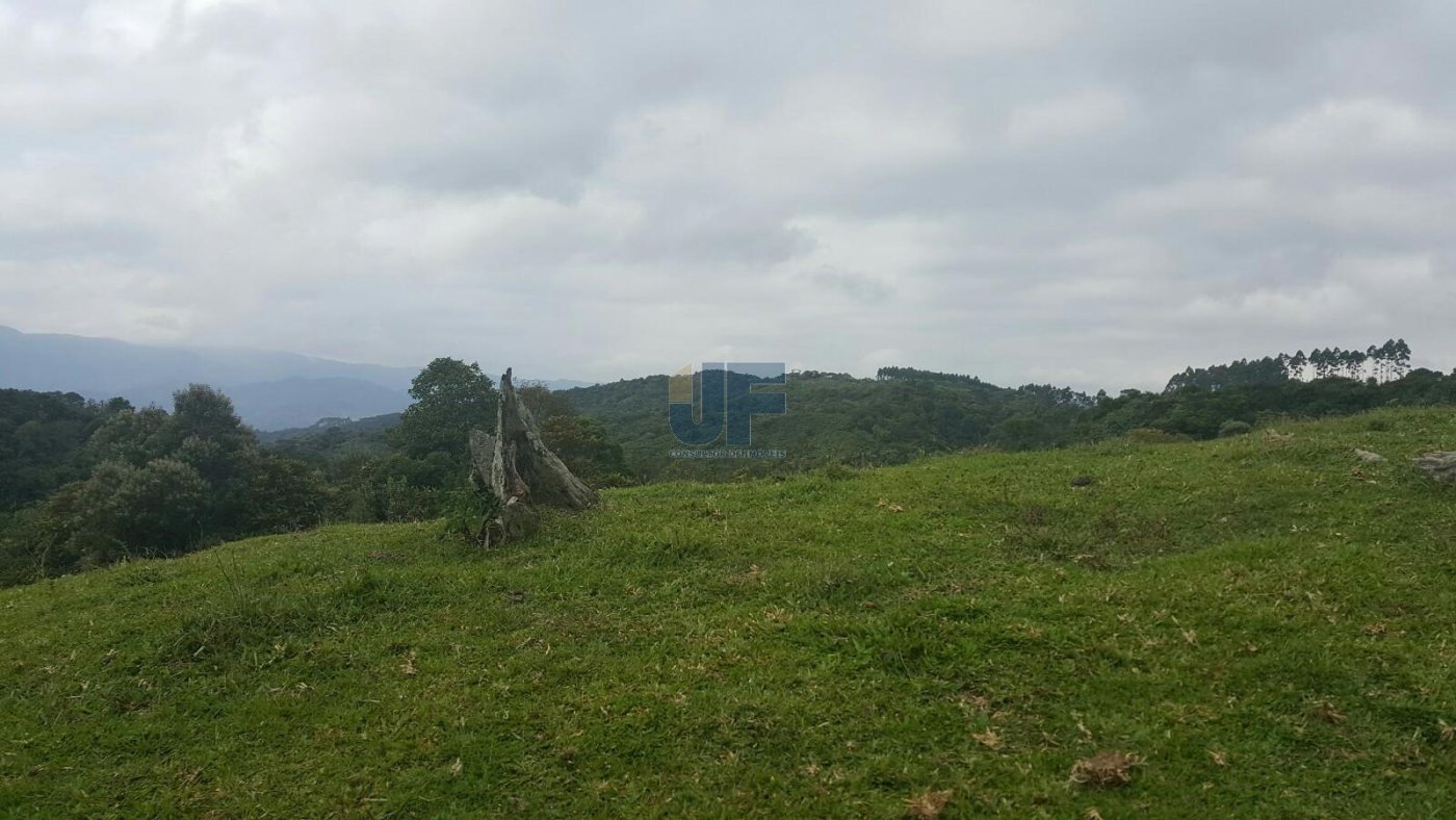 Sítio, 4 quartos, 785 m² - Foto 22