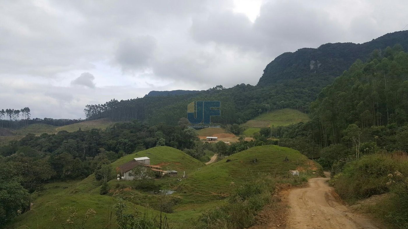 Sítio, 4 quartos, 785 m² - Foto 25