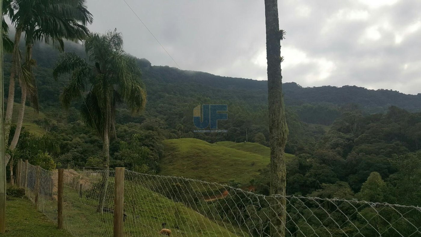 Sítio, 4 quartos, 785 m² - Foto 6