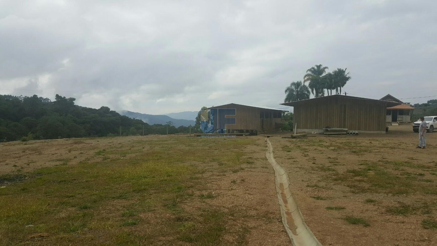 Sítio, 4 quartos, 785 m² - Foto 9