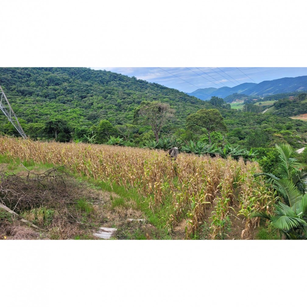 Fazenda à venda com 3 quartos, 7000m² - Foto 15