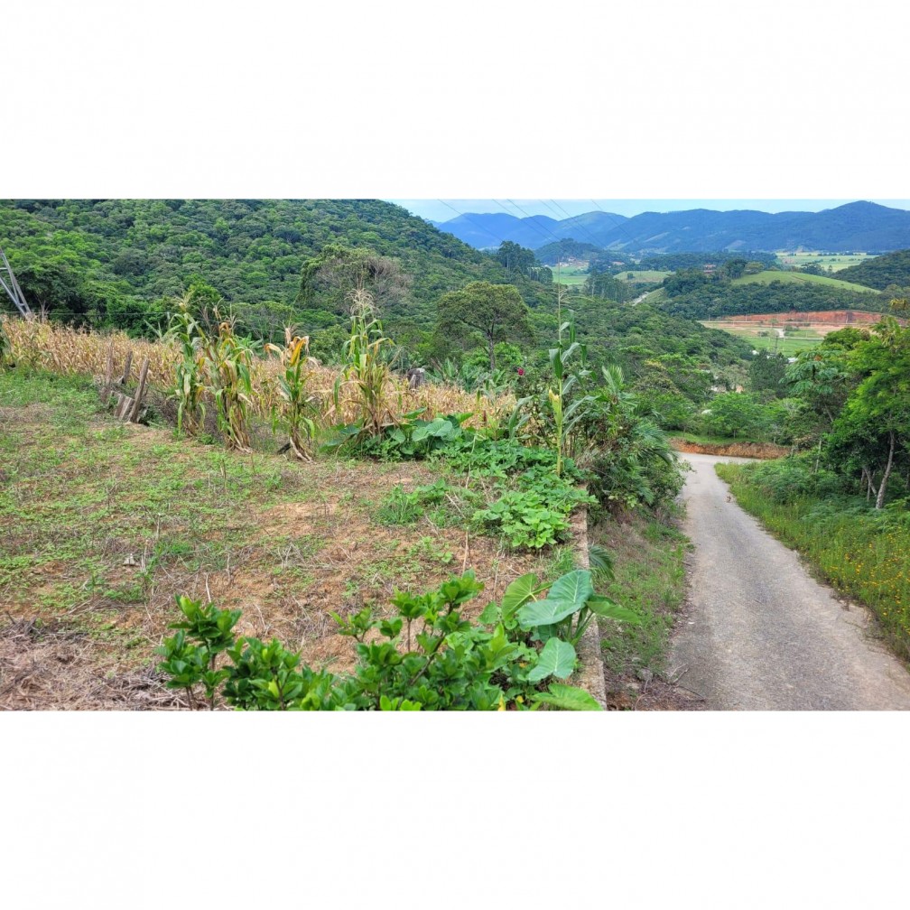 Fazenda à venda com 3 quartos, 7000m² - Foto 4