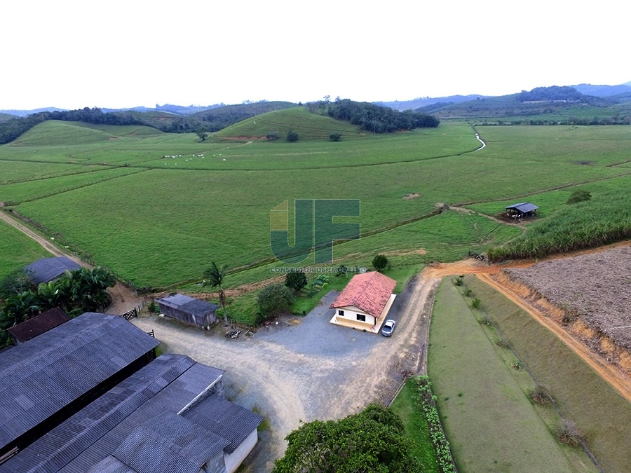 Fazenda à venda com 4 quartos, 1130000m² - Foto 1