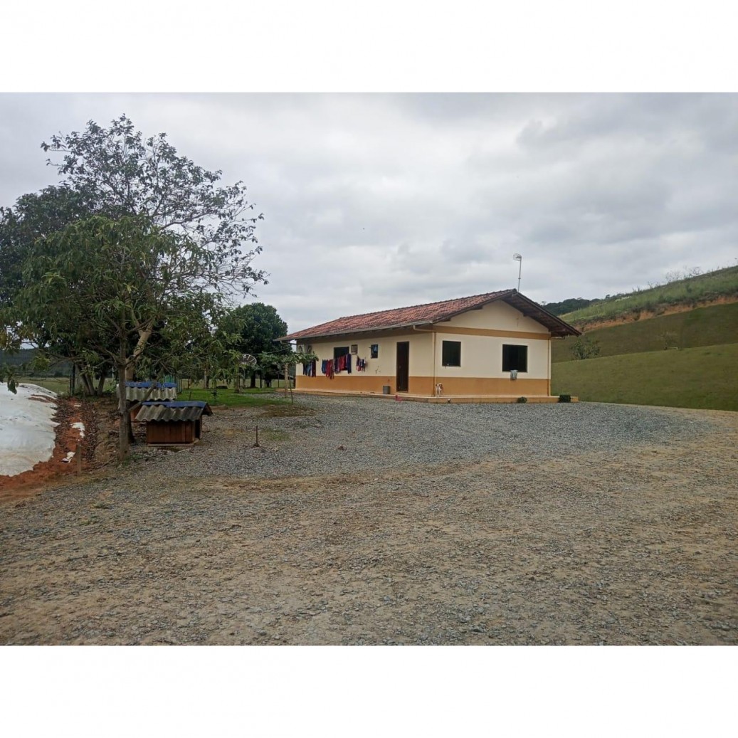 Fazenda à venda com 4 quartos, 1130000m² - Foto 14